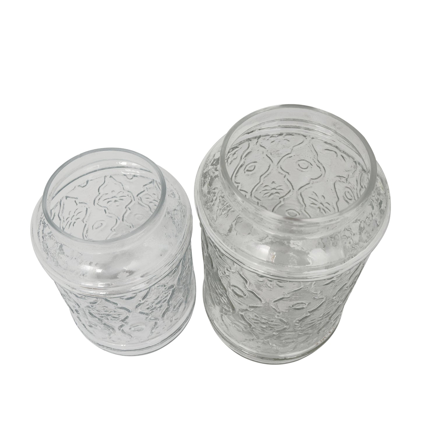 Farmhouse Clear Glass Decorative Jars Set