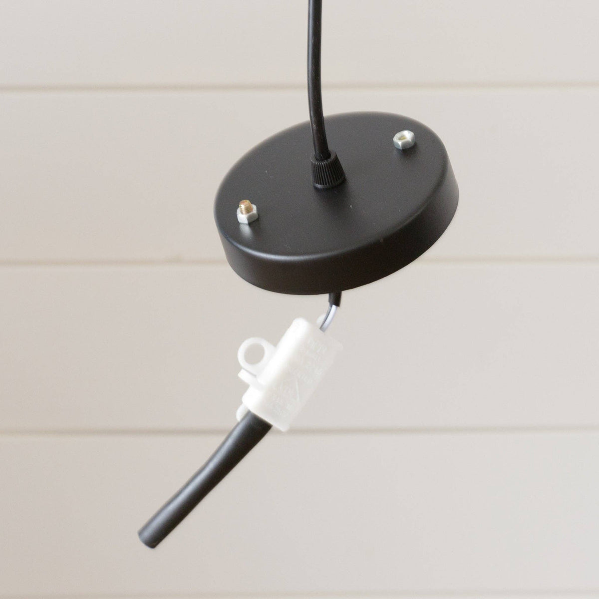 Bamboo Pendant light (PC)