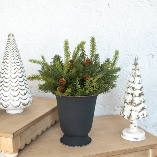13" White Spruce & Tsuga Hemlock Pick