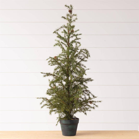 Potted Fir Pine Christmas Tree – Large