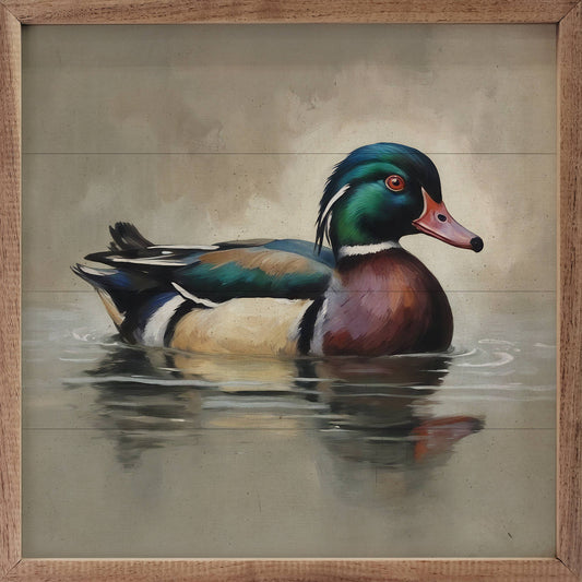 Wood Duck Portrait: 16x16