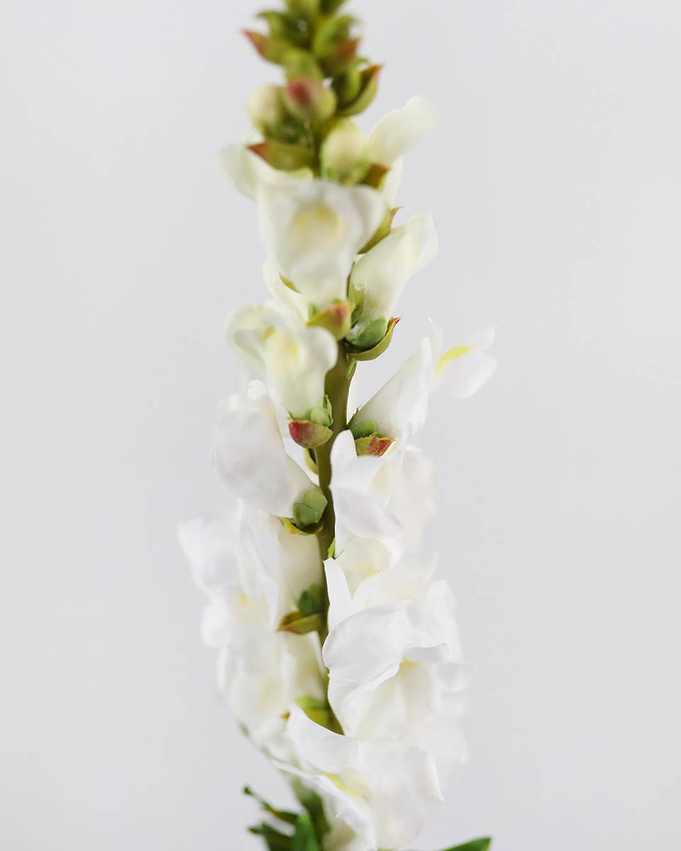 Real Touch Cream White Snapdragon 23”