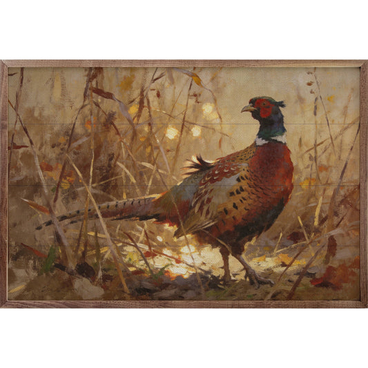 Ring-necked Pheasant In Autumn Grass: 8x5