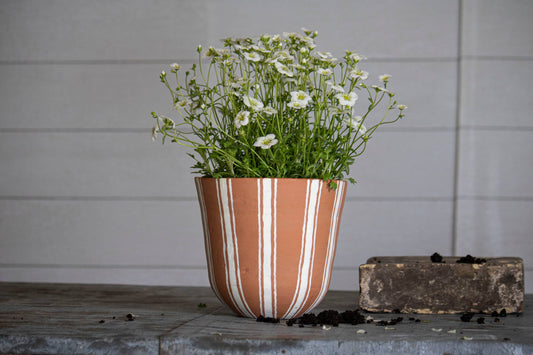 Prescott Terracotta Planter