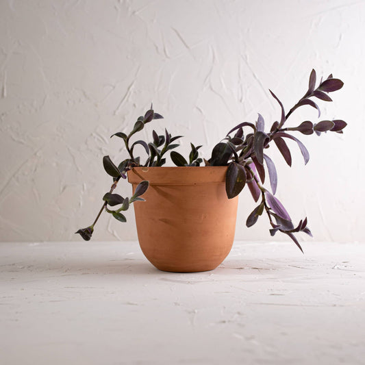 Monet Terracotta Planter