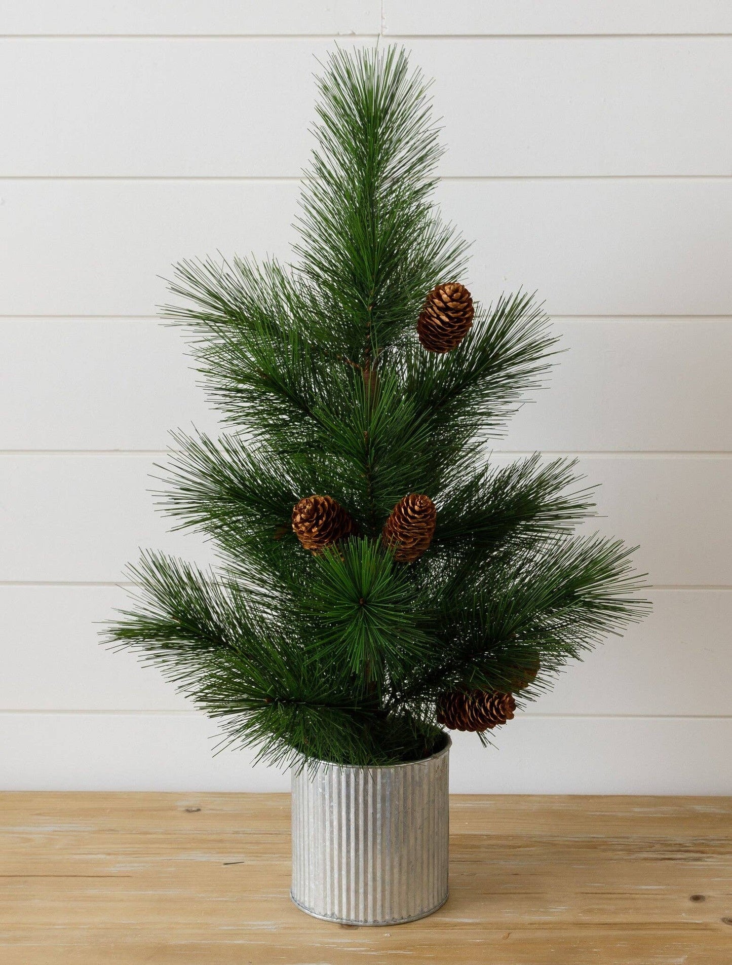 White Pine Tree With Pinecones In Metal Pot