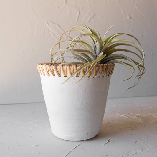 Mesa Terracotta Planter White
