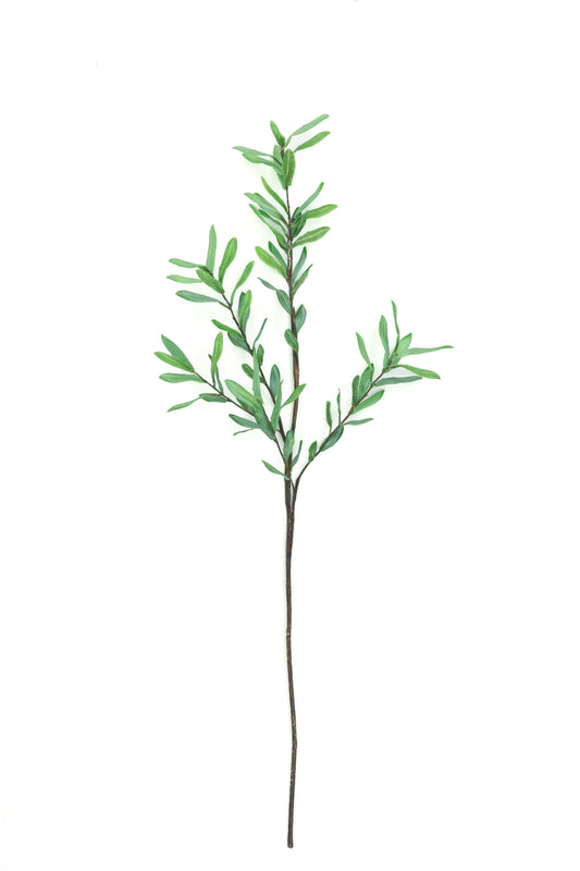 39" Ollie Olive Branch - Faux Olive Leaves